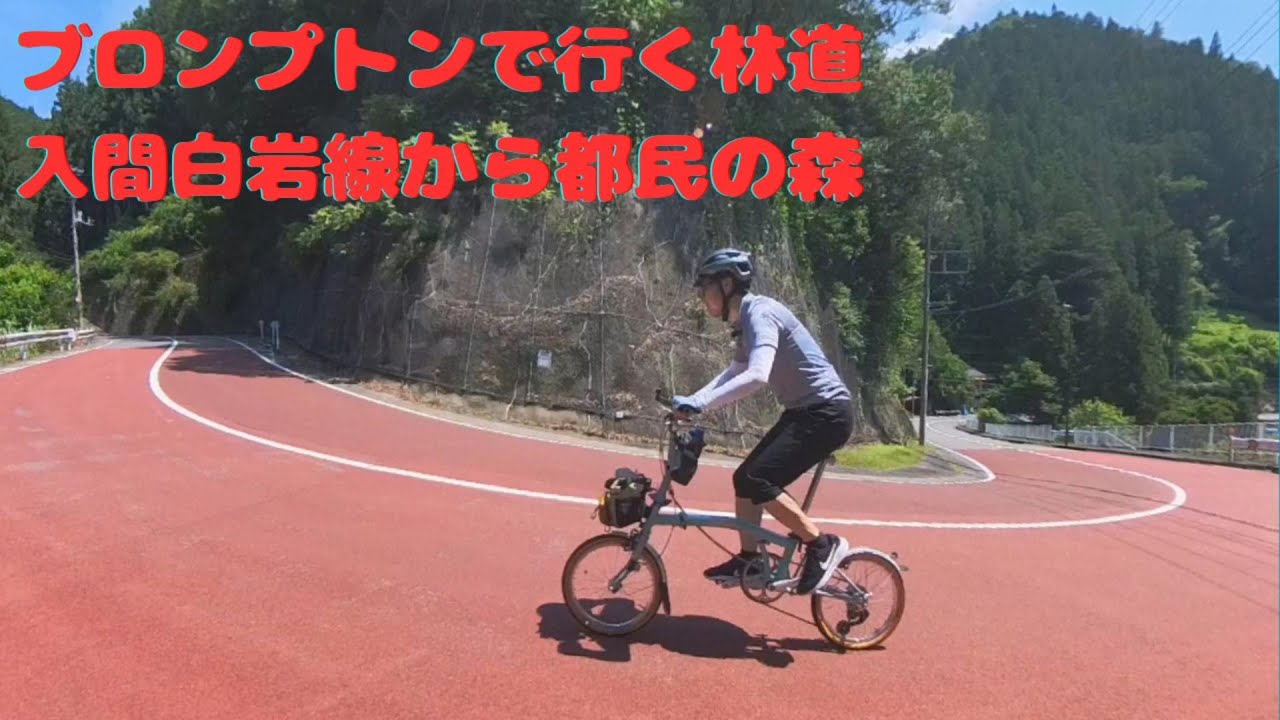 ブロンプトンで行く林道入間白岩線から都民の森