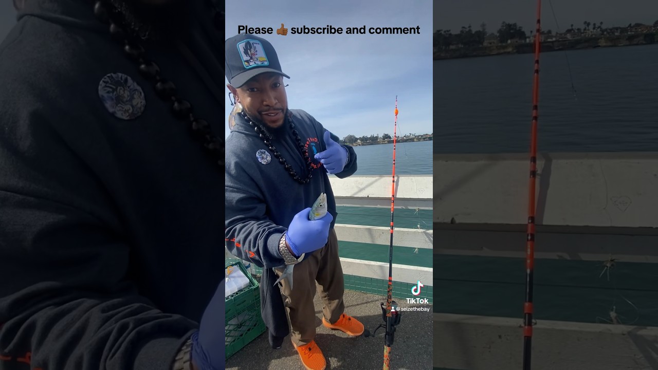 Fishing at Santa Cruz Boardwalk #seizethedayfishing #pierfishing #jacksmelt #positivevibes