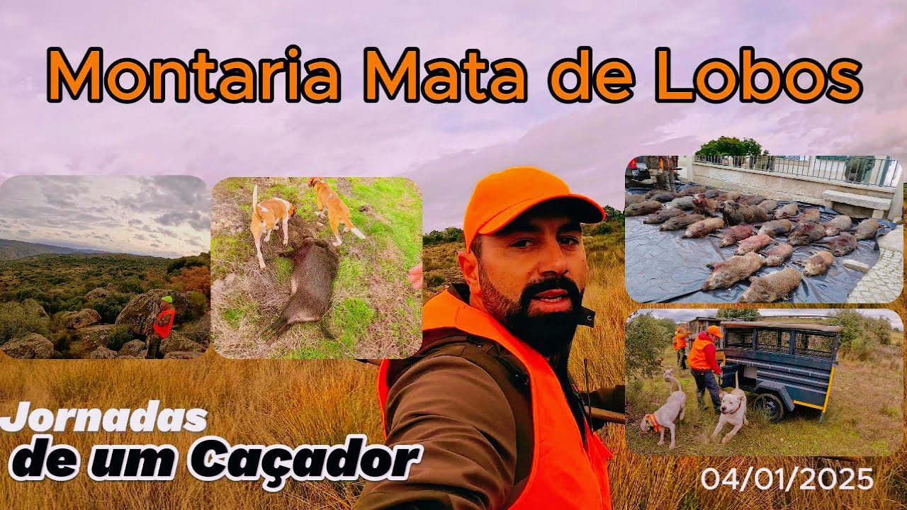 Montaria ao Javali Mata de Lobos 04/01/2025