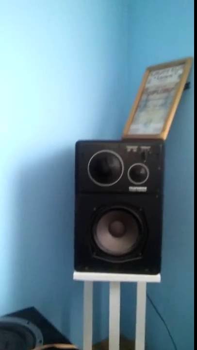 Harman/Kardon PM665 And Telefunken TLX 22/4 Professional