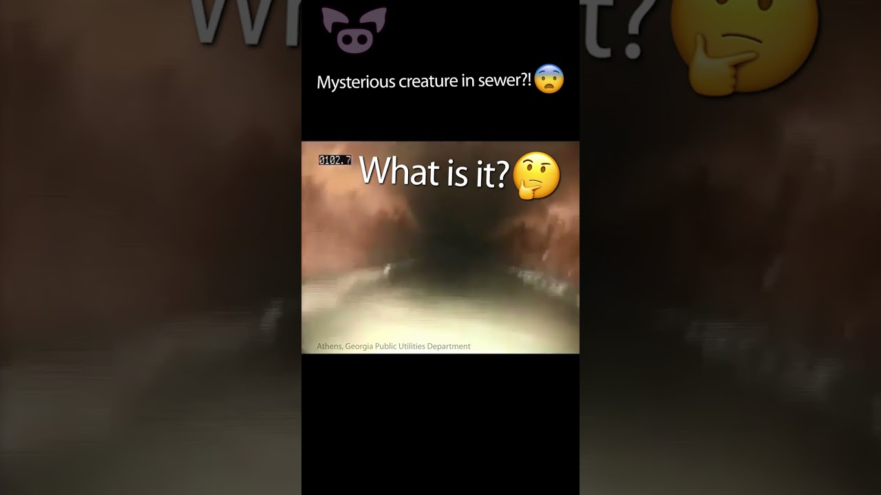Creepy CREATURE Filmed in Sewer? #Shorts