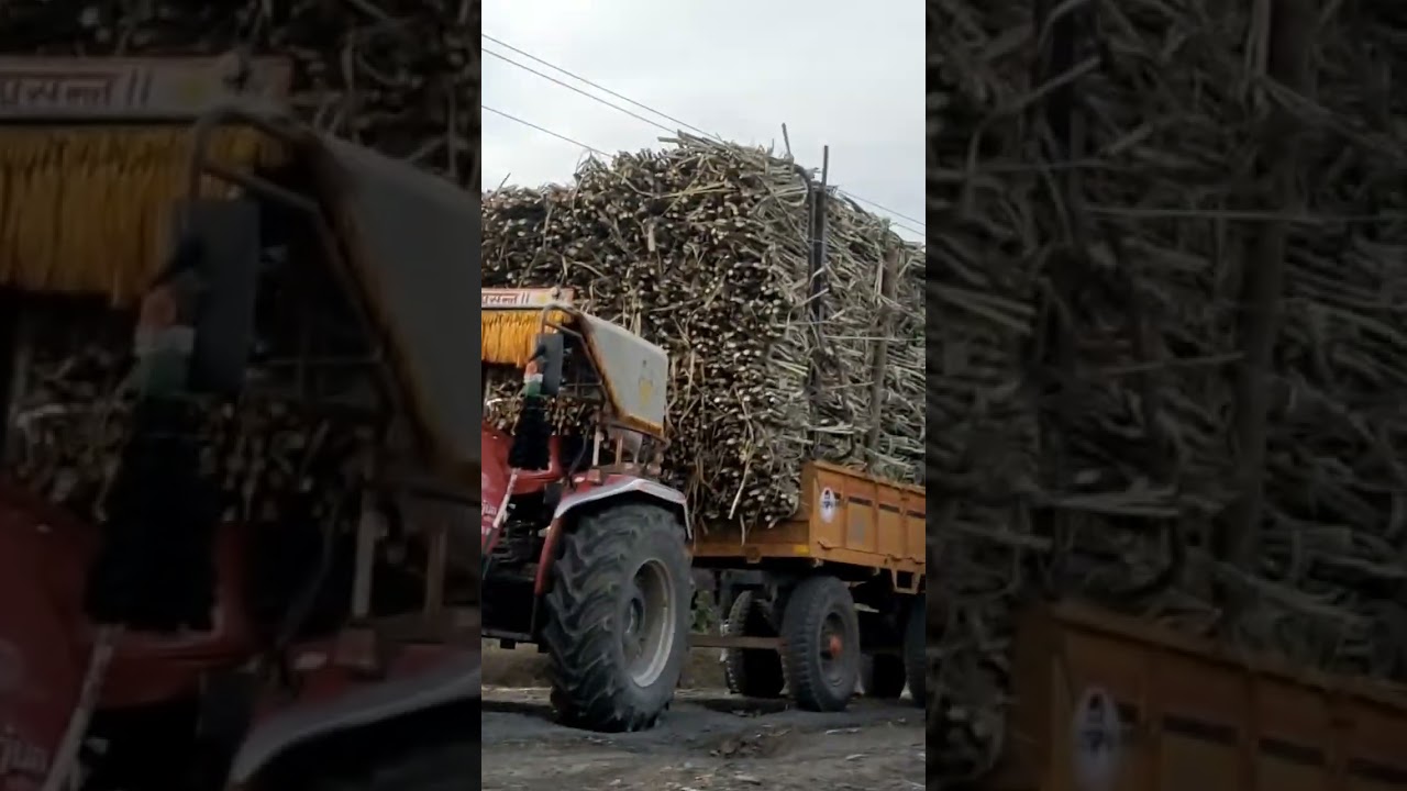 powertract uro 47 tractor pulling sugarcane trolly 👑❤️&zwj;🔥🔥👍