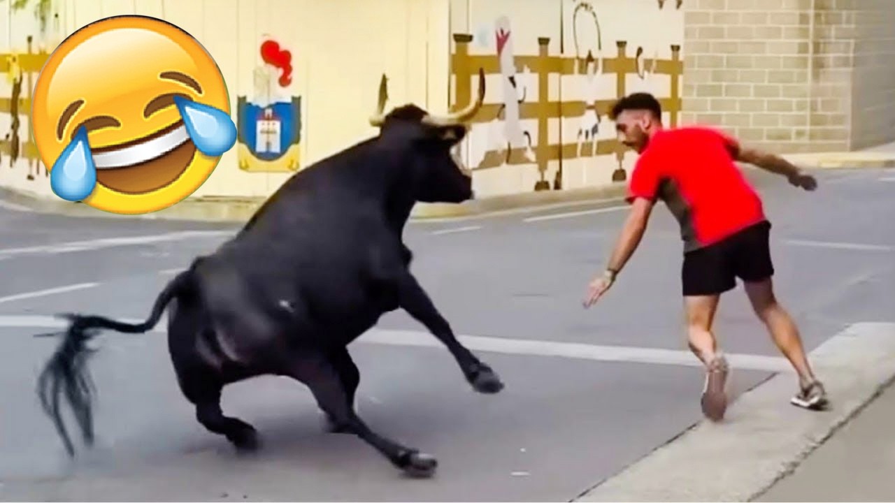 BEST OF THE WEEK #23 - Funniest Fails of the Week