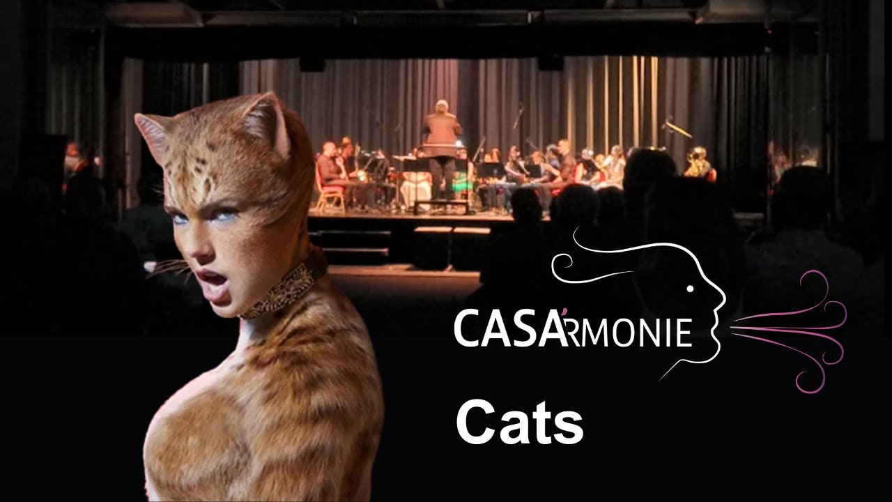 Cats, Kazuhiro Morita | Casa'rmonie