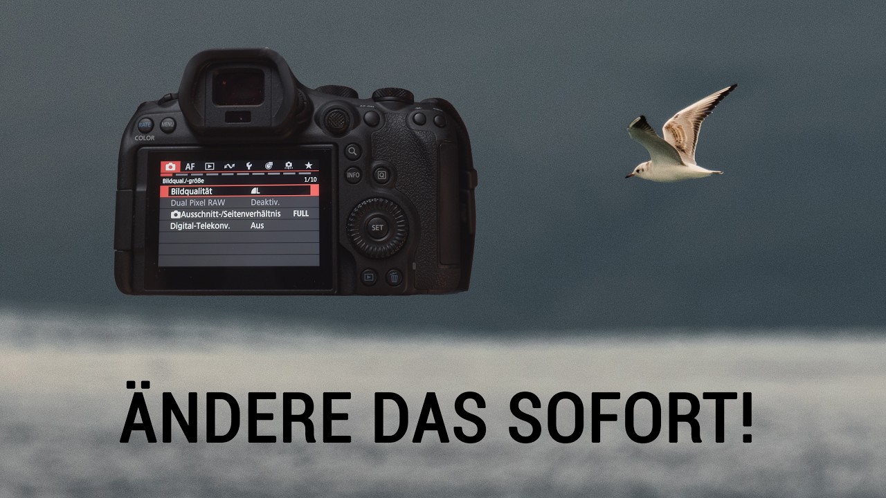 Canon R6III: wichtigste Einstellungen Foto und Video