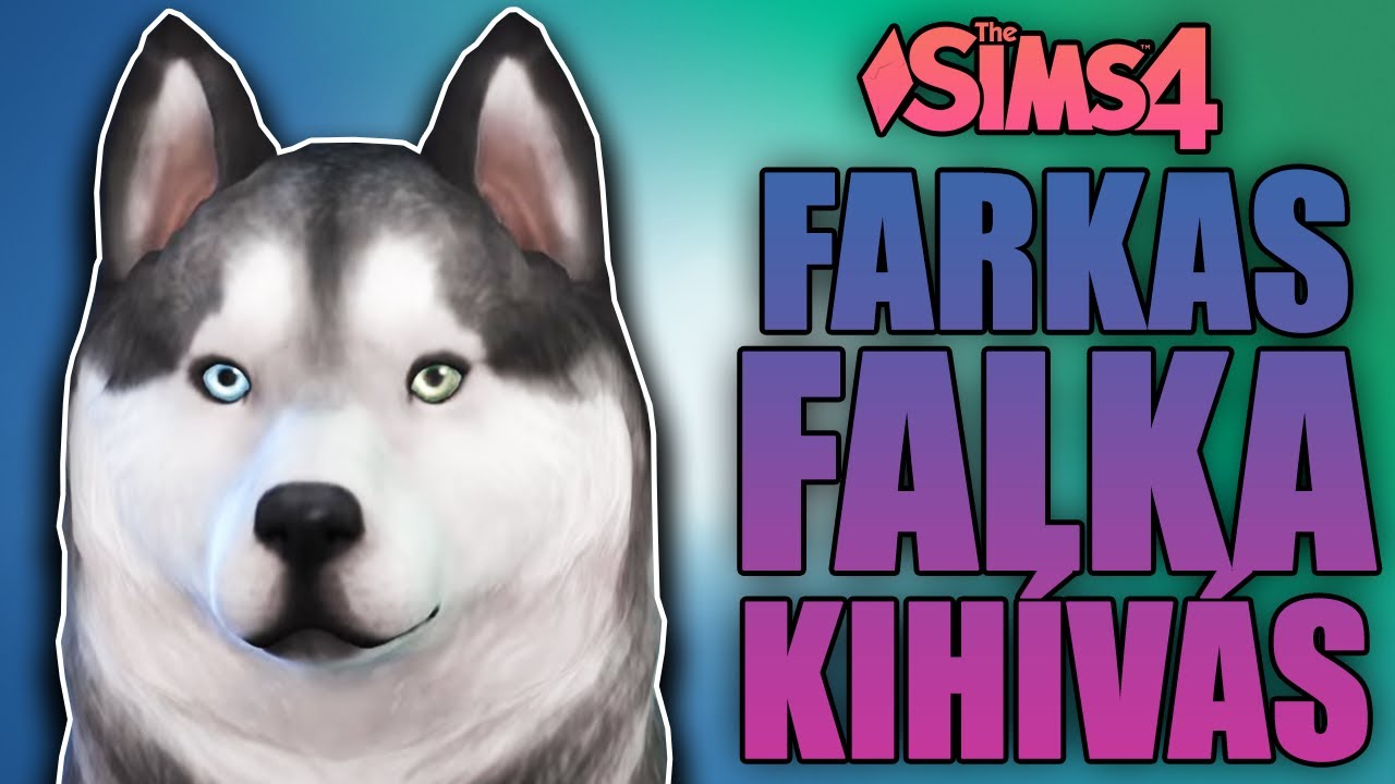 FARKAS FALKA KIH&Iacute;V&Aacute;S! 🐺 - The Sims 4