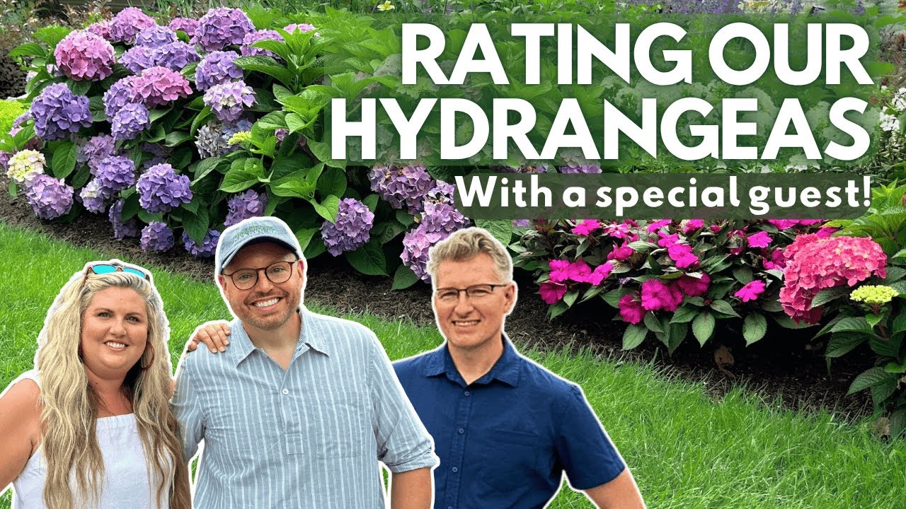 Hydrangea Showdown! 💥 Rating Our Garden Favorites and Flops with the Hydrangea Queen 👑