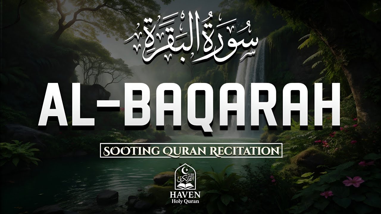 Surah Al-Baqarah (سورة البقرة) | Complete Quran Recitation for Protection & Divine Blessings |