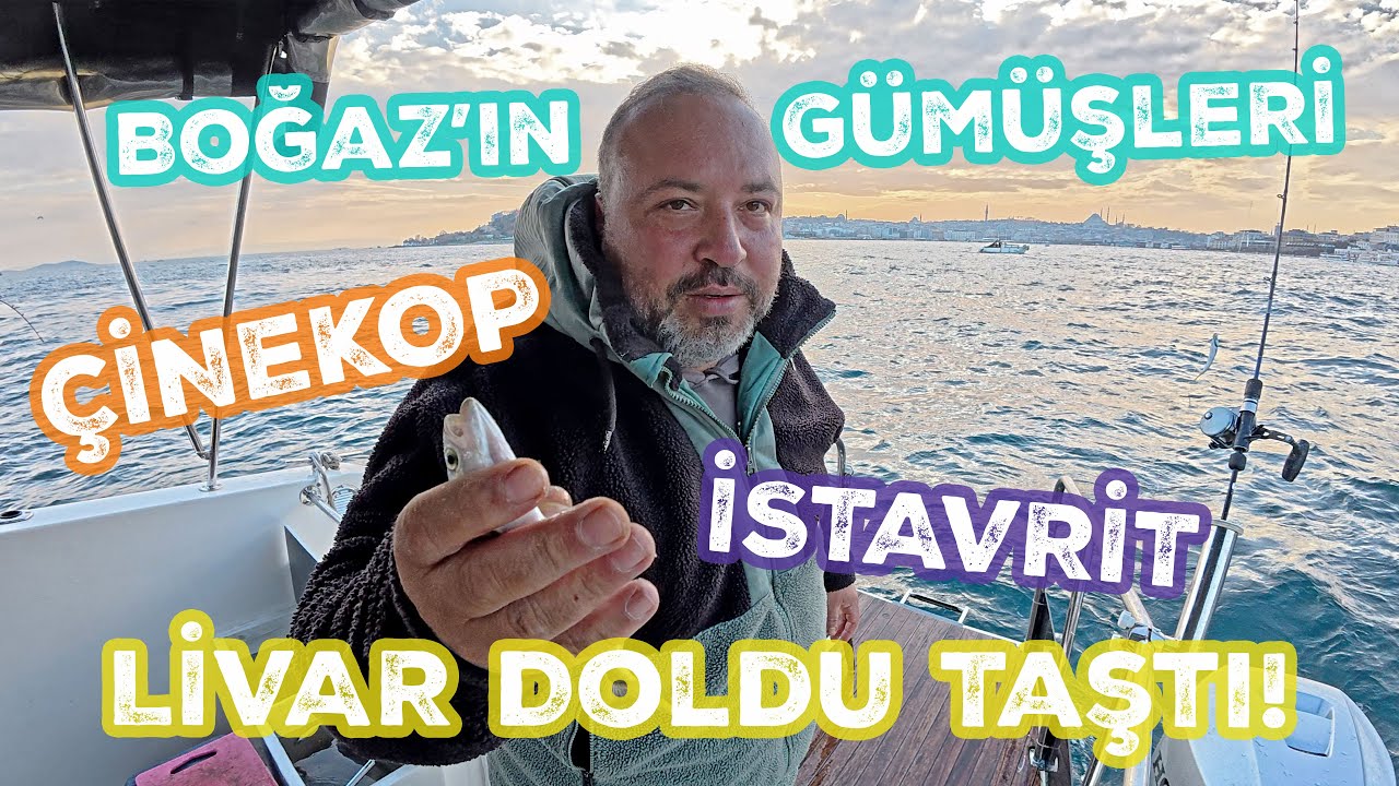 Livar Doldu Taştı! Çinekop ve İstavrit Avı