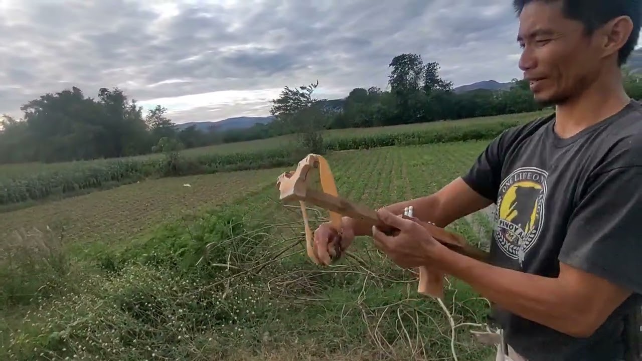 Slingshot 