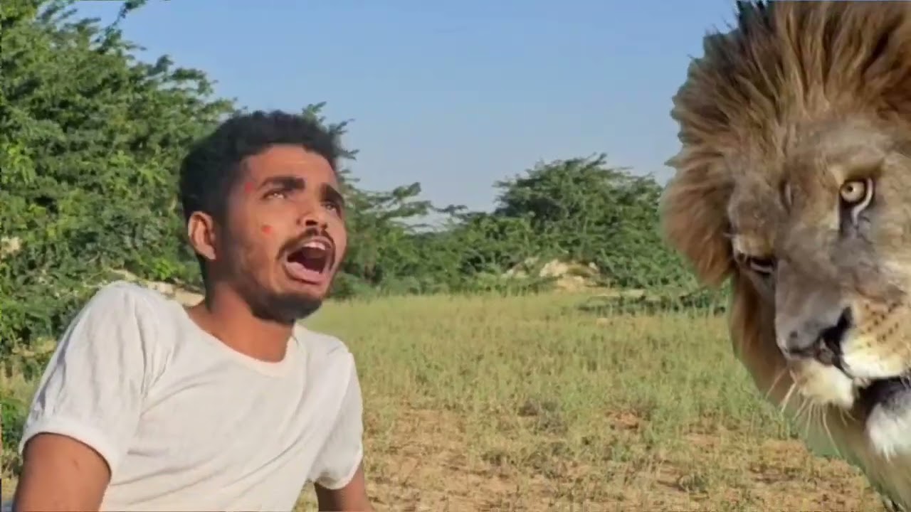 مزرعة السيسبان تمثيل شباب قشن