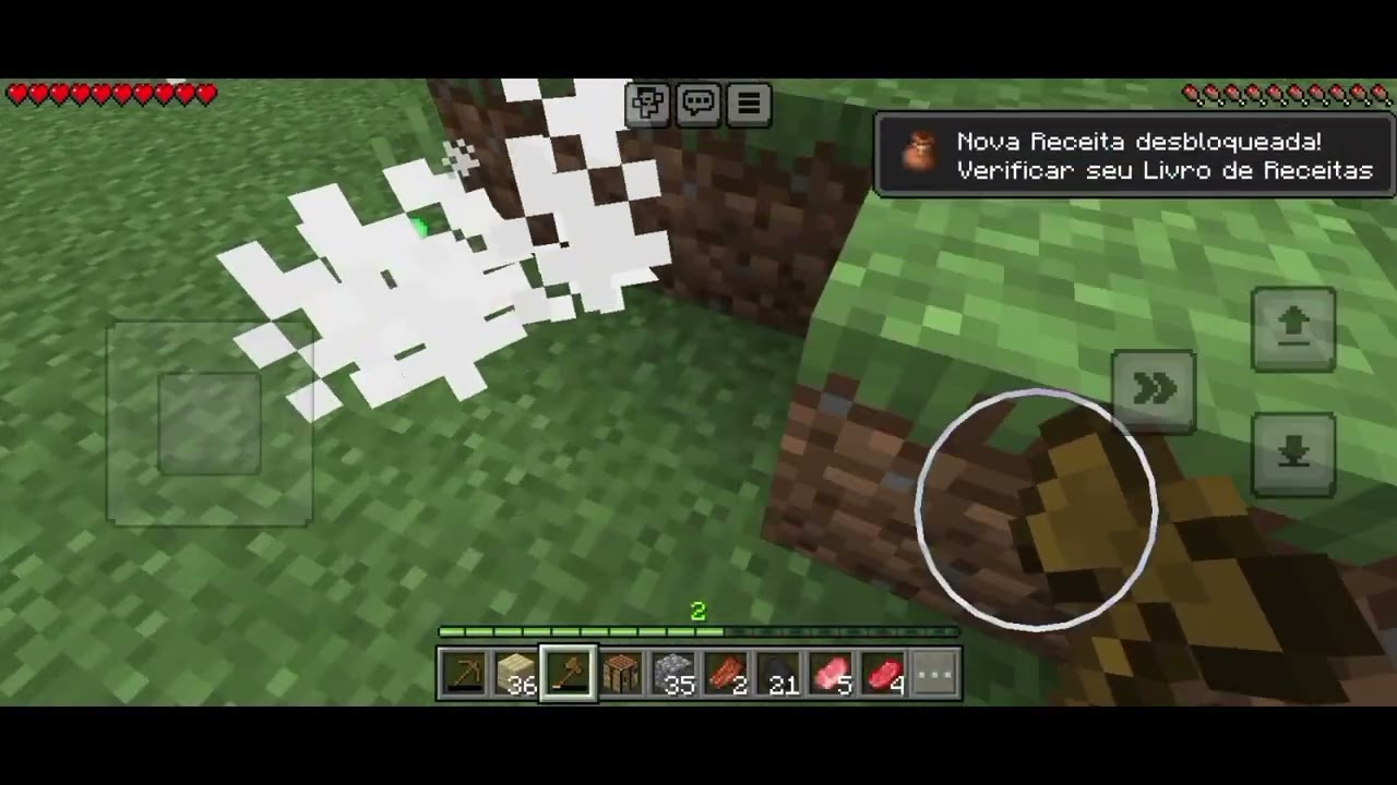 Jogando Minecraft- Alexandre