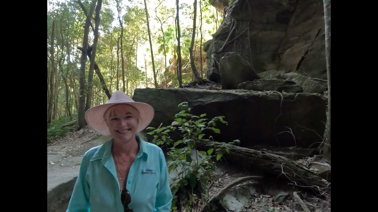 Mickey Creek and Warrumbah Gorge, Carnarvon Gorge, Queensland
