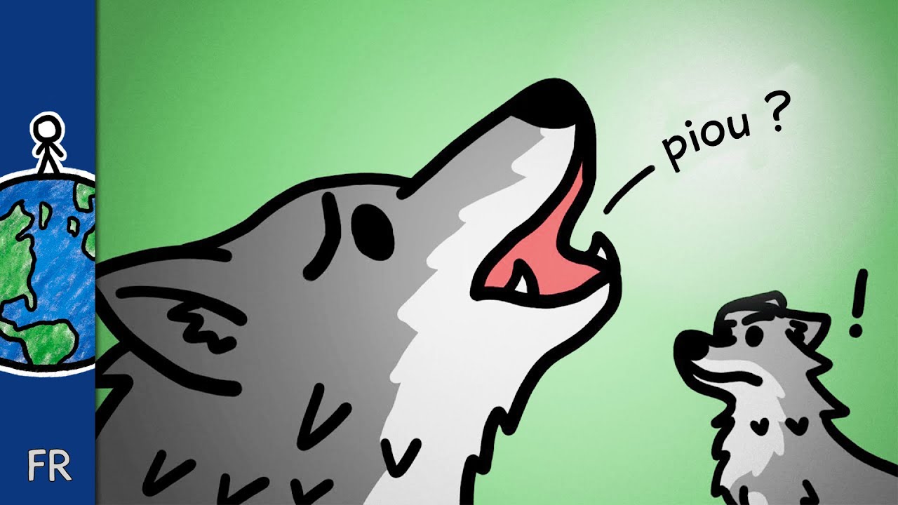 Pourquoi les loups ne sifflent pas