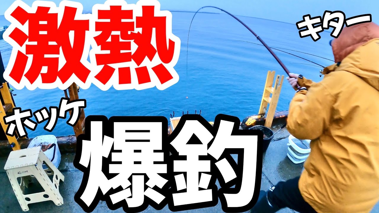【北海道】【釣り】やっぱり強風の方が釣れる！激熱タイムに今シーズン１番の爆釣！　#ホッケ釣り#𩸽釣り#爆釣#北海道釣り#激熱