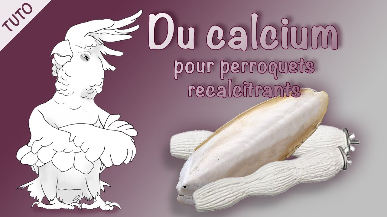 TUTO - Cette recette va leur renforcer la vie