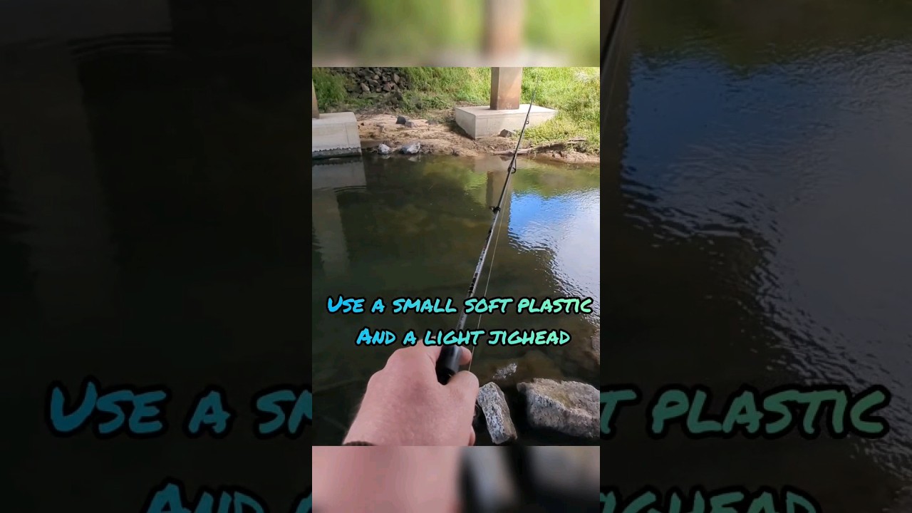What lurks under this bridge?#ultralightfishing #redfin #perch #fishing Tips #trout #cod