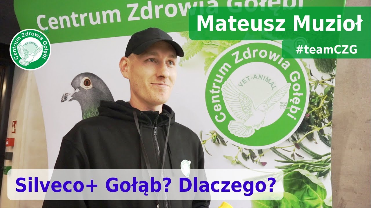 Mateusz Muzioł - Silveco+ Gołąb - odkrycie w hodowli. Ponadto: systematyka - coś nowego :)