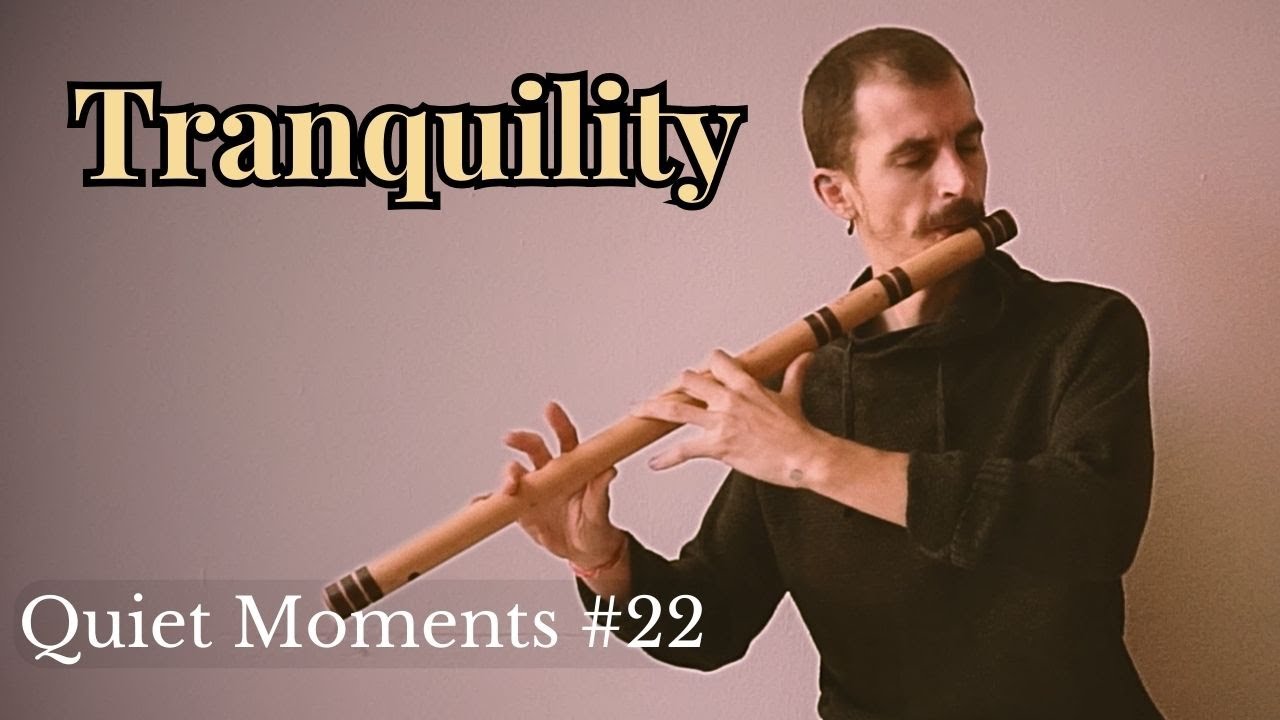 Quiet Moments #22 | Tranquility | Relaxing Indian Flute Music