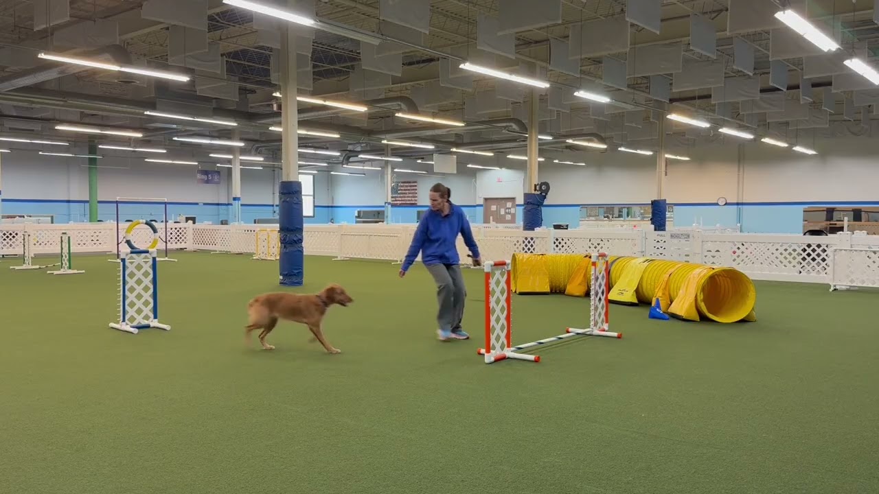 Torch backside challenge 