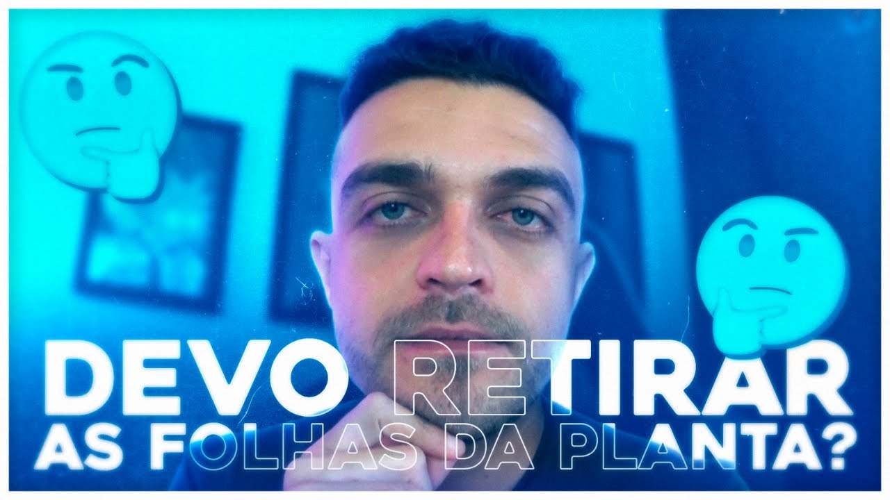 Devo podar as folhas da planta ?