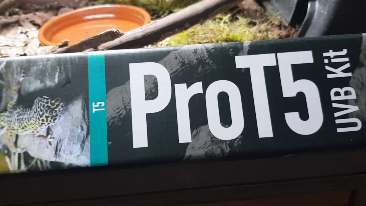 Arcadia ProT5 install