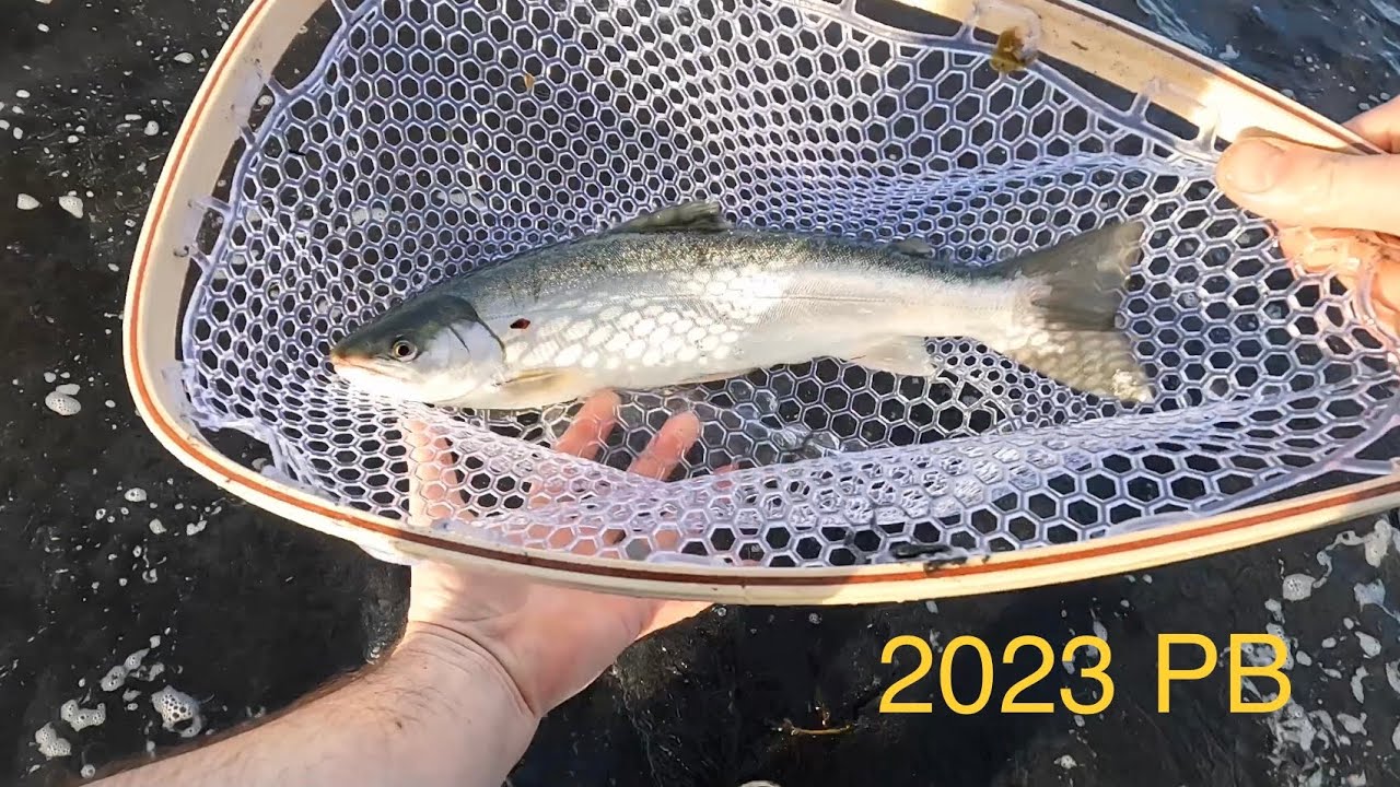 Ocean Dolly Varden fishing from the beach in Kodiak Alaska
