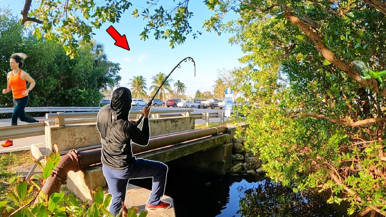Can't Believe What Was Hiding Under This Roadside Bridge!