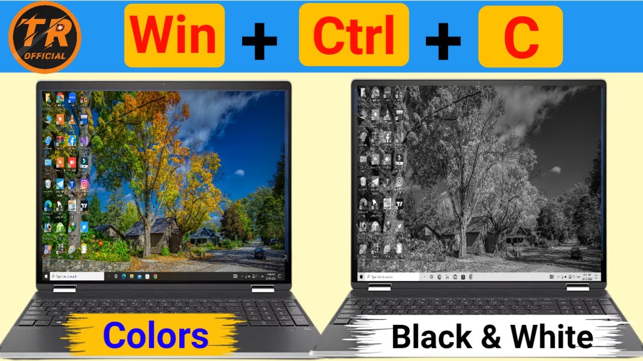 Computer ko color screen se black & white kaise kare | Shortcut Key se Laptop Screen Color Change