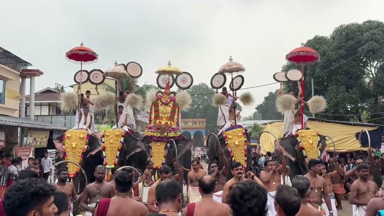 കുമാരനല്ലൂർ 7ഉത്സവം 🔥🔥❤️❤️ ആറാട്ട് കഴിഞ്ഞു ദേവി അമ്പലത്തിലേക്ക് ❤️❤️