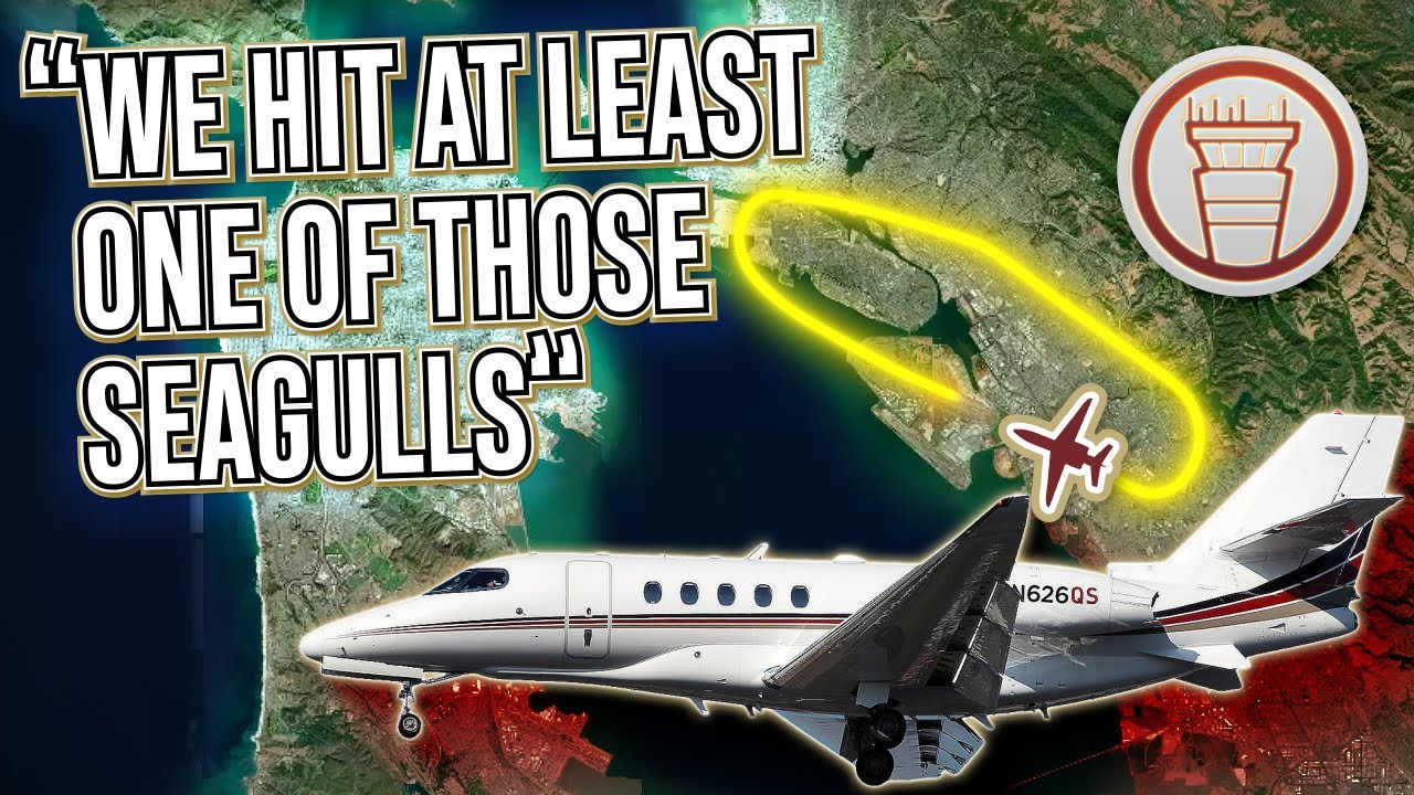 Cessna Strikes Seagull on Takeoff, Crew Declares Emergency [ATC audio]