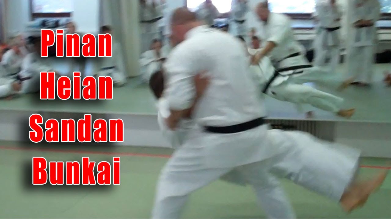Practical Kata Bunkai: Pinan / Heian Sandan Opening Sequence