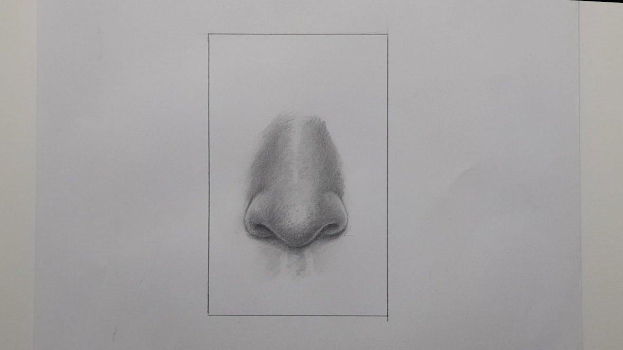 como desenhar um nariz realista