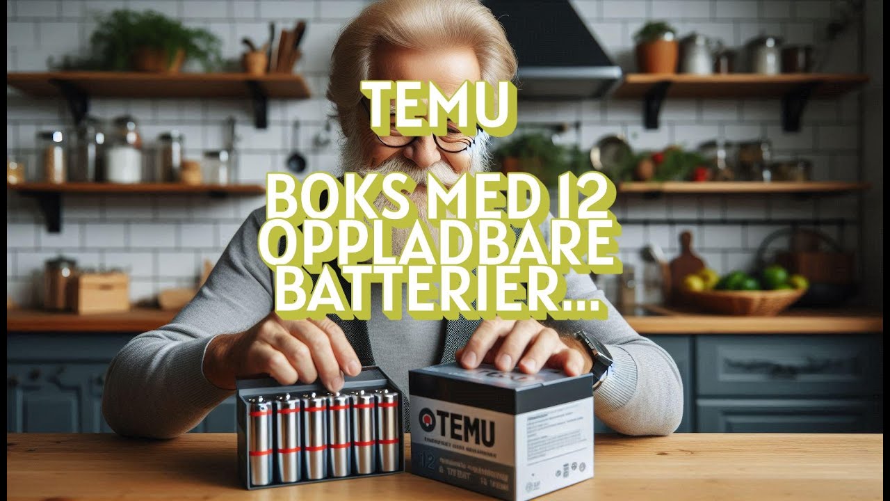 TEMU  12 stk. AA BATTERIER + LADER...