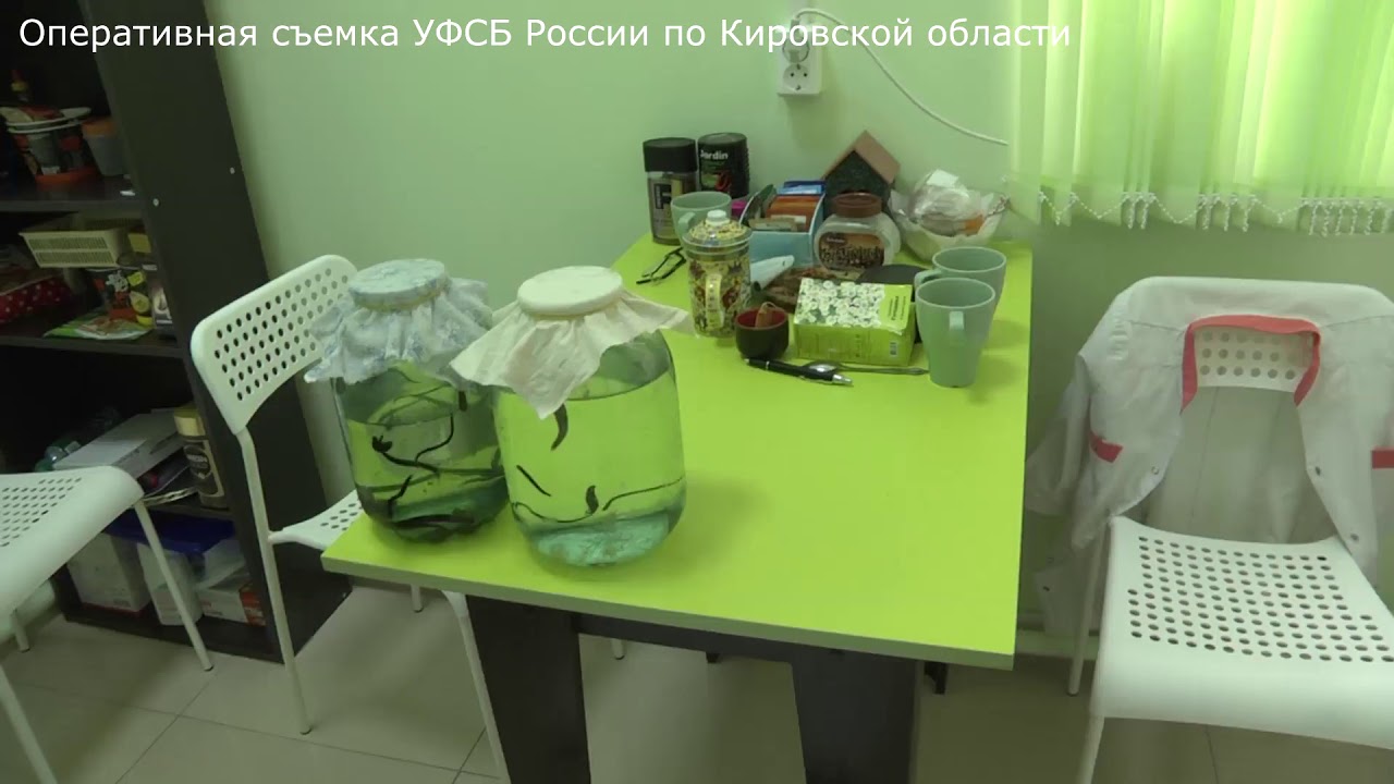 Доктор Чан