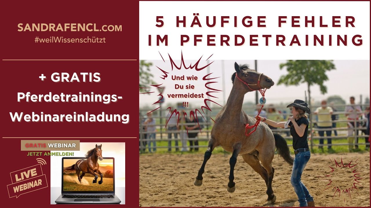🐎 Pferdetraining - 5 häufige Fehler 😳💥
