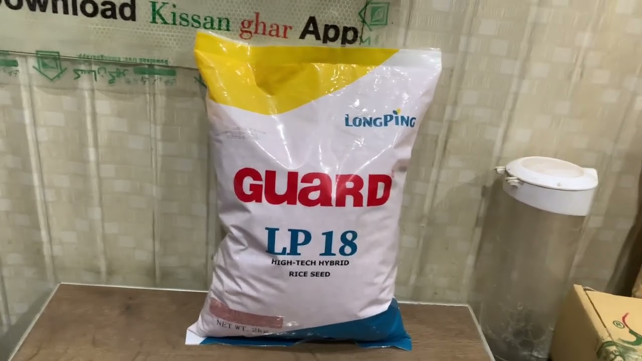 Originals LP 18 Rice Seed of Guard Company | Best hybrid rice seed to sow all time | Kisan Ghar