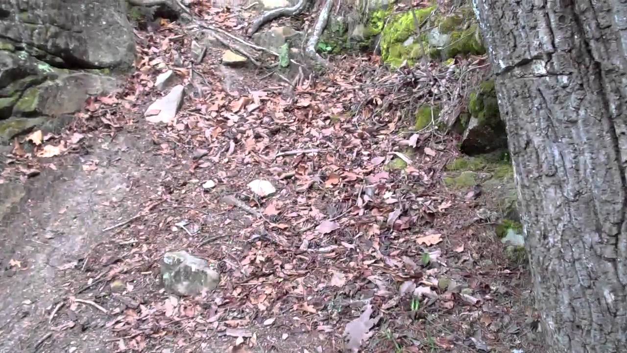 Jonathan Odom's Outdoor Adventures