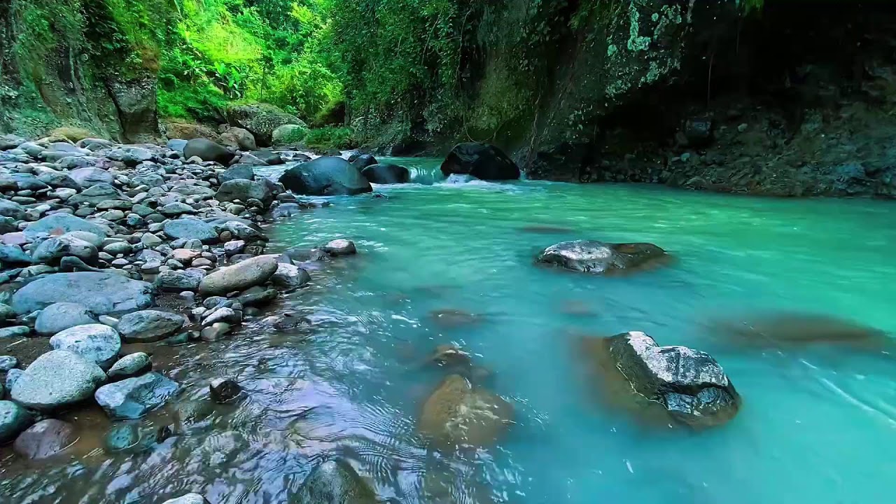 Mountain Stream Gentle Flow, Forest River Noise, Sleeping