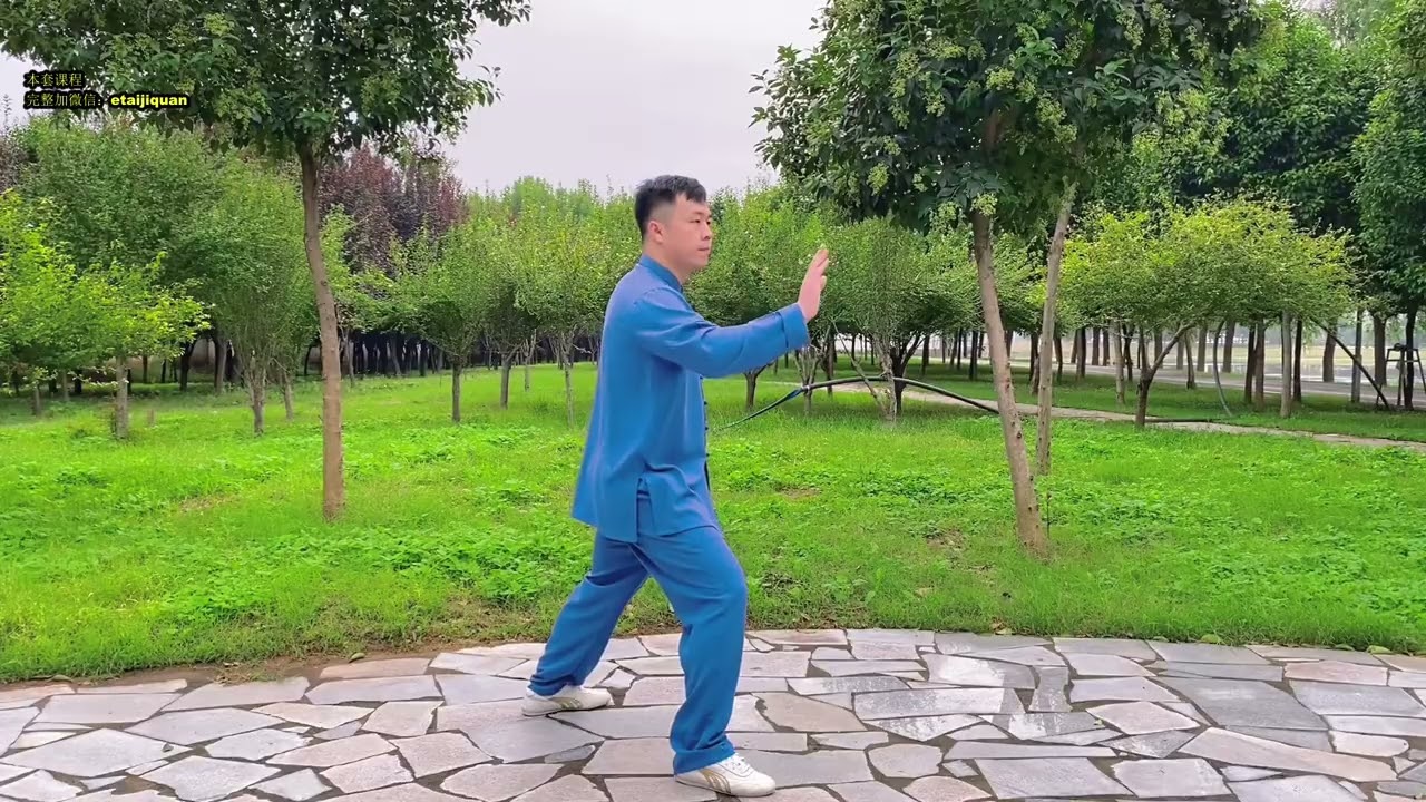 太极拳老架一路丹田内功心法65  太极内功：前趟拗步