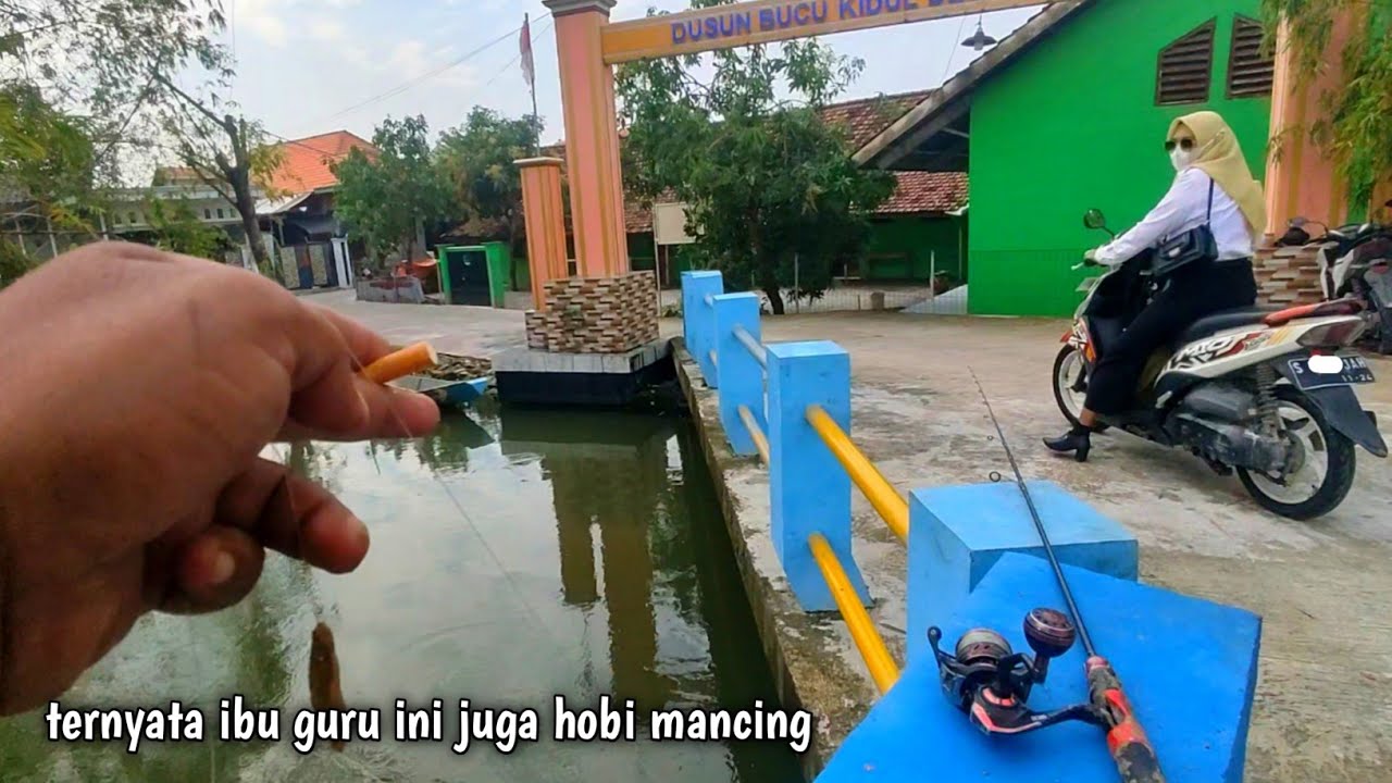 Ayo tebak apakah saya dapat ikan mas lagi atau tidak di sungai ini