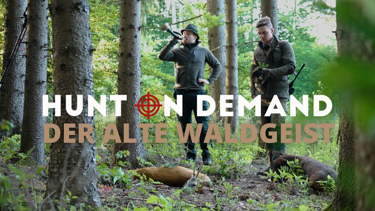 Der alte Waldgeist 🇦🇹  Auf Bockjagd mit dem Berufsj&auml;ger von @WildfilmAustria