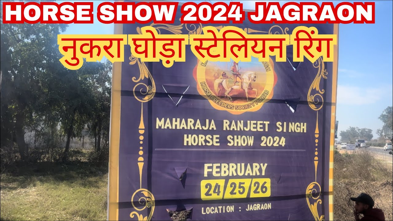 Horse show Jagraon 2024 || nukra stallion ring
