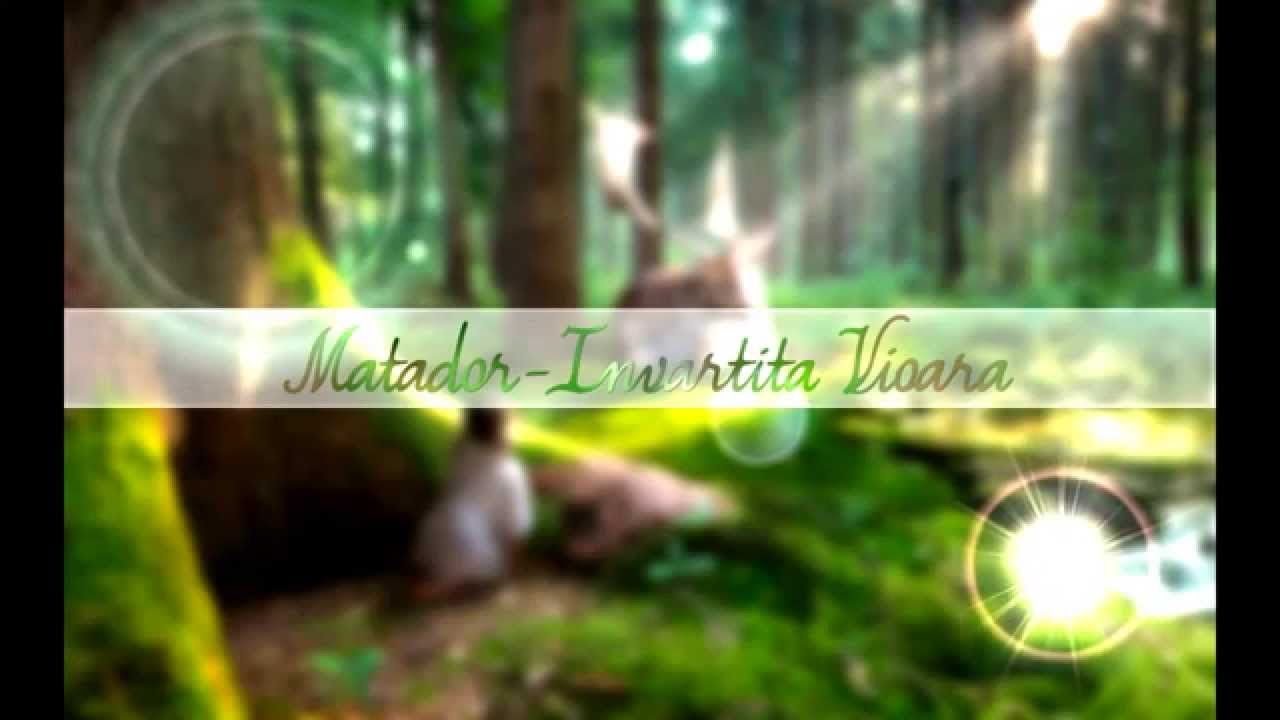 Matador - Invartita Vioara