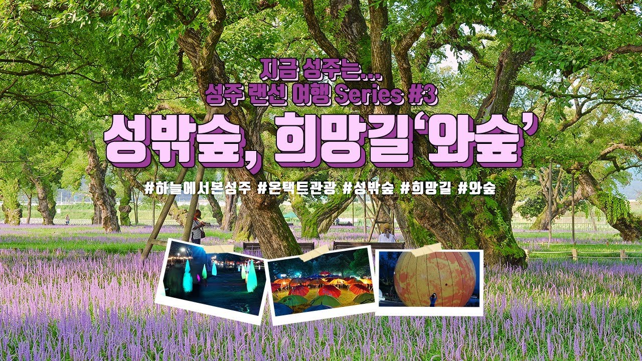 [지금 성주는...랜선여행]  #3 성밖숲&희망길'와숲'