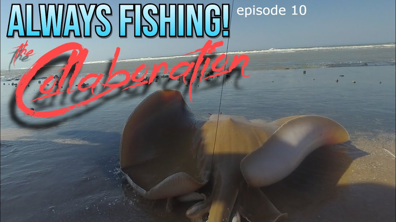 Always Fishing! 10 The Collaboration