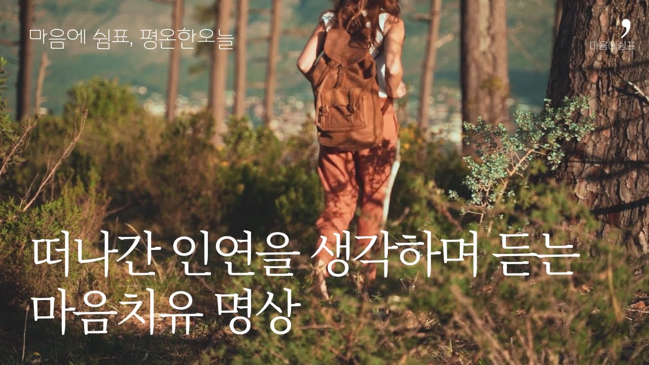 떠나간 인연을 생각하며 듣는 명상 #삶의지혜 #인생조언 #인생이야기 #인연 #명상