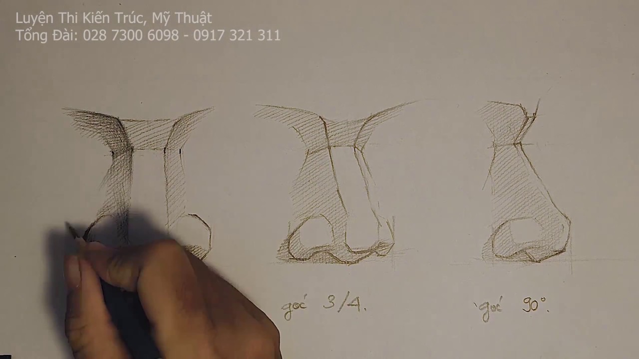 Hướng dẫn vẽ khối mũi tượng góc độ chính diện, vẽ góc 3 phần 4, vẽ góc 90 độ - Lớp dạy vẽ Art Land