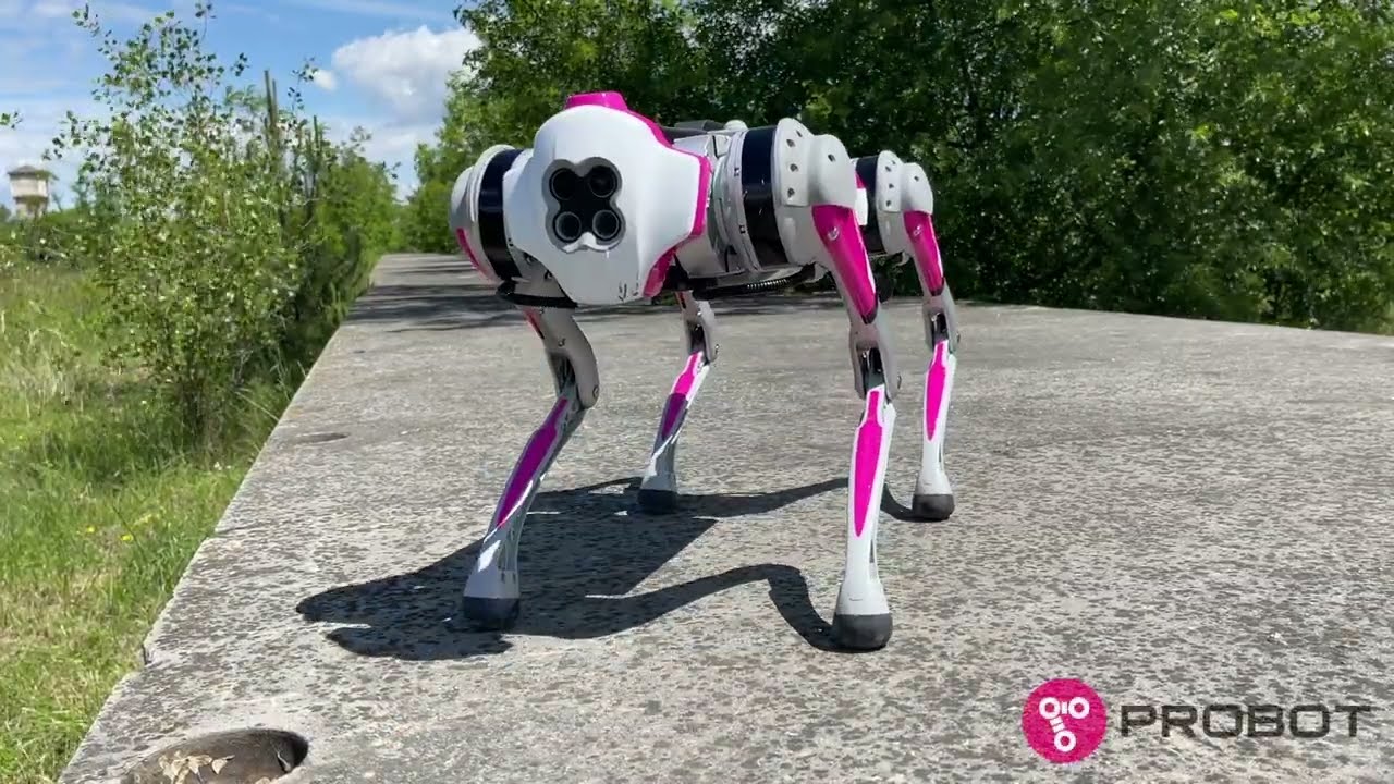 Robot dog sightseeing for 3 minutes - Unitree Go1