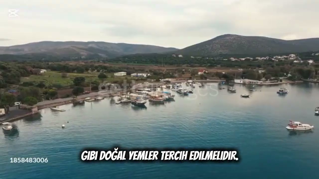 Ildır&rsquo;da Balık Avı &ndash; Ege&rsquo;nin Sessiz Cennetinde B&uuml;y&uuml;k Avlar Başlar 🎣🌊